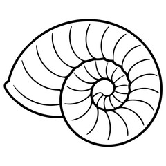 Obraz premium nautilus shell vector illustration