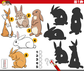 finding shadows puzzle with cartoon rabbits animal characters