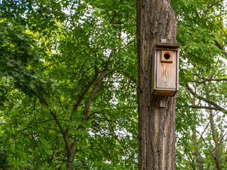 Wooden birdhouse mounted on a tree trunk in a leafy forest. Wildlife habitat support, nesting box for birds, symbol of conservation and urban biodiversity