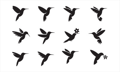 Collection of Silhouettes of Hummingbirds in Flight, A set of twelve simple, black silhouette designs of hummingbirds in various flight positions, some feeding on flowers vector art on white