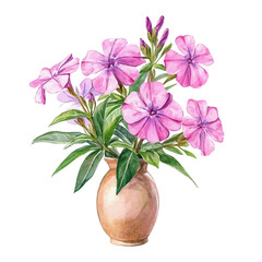 Obraz premium A Phlox In A Vase, watercolor clipart vector, isolated on a white background.