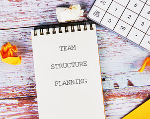 Conceptual text, phrase, words Team Structure Planning The concept of development and business,...