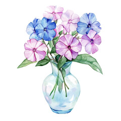 watercolor of A Phlox In A Vase, vector, isolated on a white background.