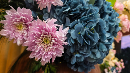 Bright magenta chrysanthemums in full bloom with vivid yellow centers, captured in a close-up shot. 