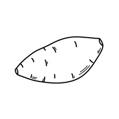 Sweet Potato Sketch: A simple line drawing of a sweet potato, showcasing its unique shape and texture. Perfect for recipe blogs, healthy eating content, or agricultural publications.