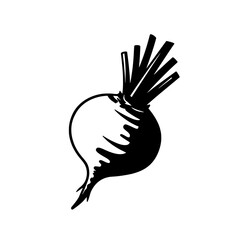Fototapeta premium Beetroot Illustration: A minimalistic illustration of a fresh beetroot. The monochromatic rendering emphasizes its organic shape and the beauty of simplicity.