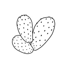 Cactus Illustration: A simple and elegant illustration of a cactus, featuring a clean design and a focus on the natural form.