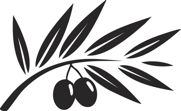 Illustration &eacute;l&eacute;gante de branche d&rsquo;olivier en noir et blanc