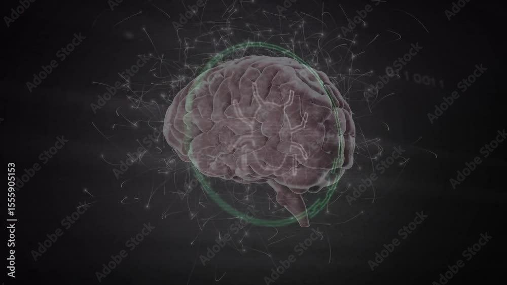Poster 3d digital brain model rotating after green ring appears, pulsing circuits mapping neural data flow