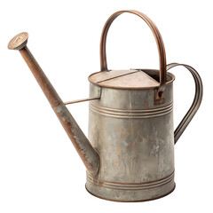 Vintage Galvanized Watering Can: Rustic Charm for Garden Decor