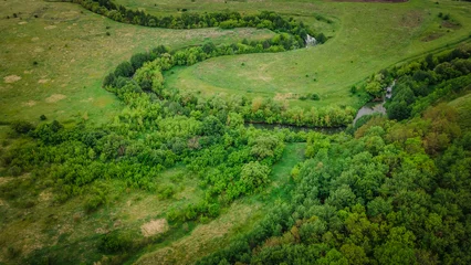 Poster aero landscape of a green summer forest