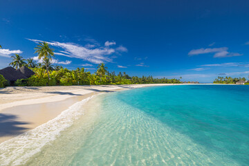  Idyllic Maldives tropical resort beach with palm trees, white sand, sunny blue sky, peaceful...