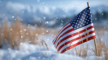 American flag in snowy winter field evokes patriotism and resilience