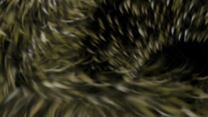 Pdynamicicles with Slow Camera Movement