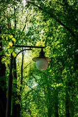 lamps in the Park alley in the spring
