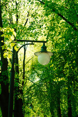 lamps in the Park alley in the spring