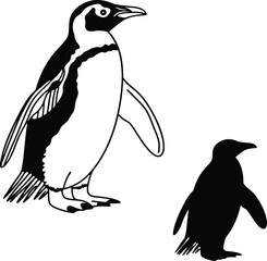 Penguin Silhouette in Details Vector Illustration  