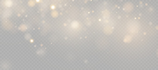 Gold dust light bokeh. Christmas glowing bokeh and glitter overlay texture for your design on a transparent background. Golden particles abstract vector background.	
