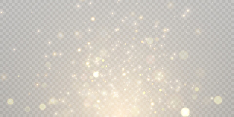 Gold dust light bokeh. Christmas glowing bokeh and glitter overlay texture for your design on a transparent background. Golden particles abstract vector background.	
