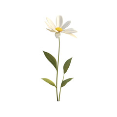 A white daisy with green leaves against a black background.