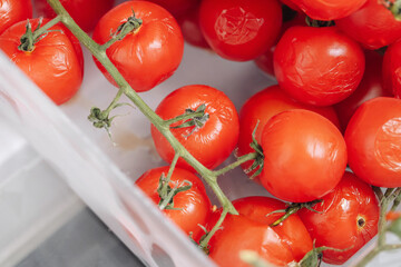 Wrinkled tomatoes in plastic box. Overripe red vegetables with vine stems. Closeup view of aging...