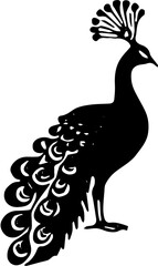 peacock vector illustration