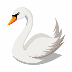 Fototapeta premium swan vector illustration, animal, isolated on white background