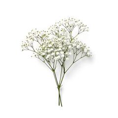 White flower bouquet arrangement