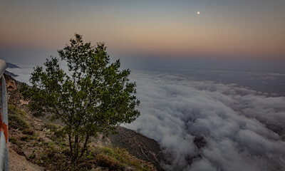 Obraz premium beautiful green landscape of salalah in oman during a khareef season