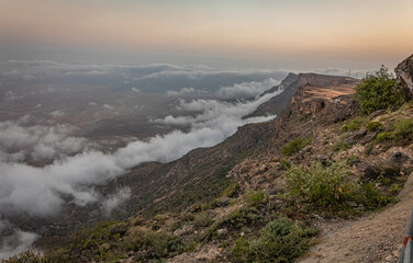 beautiful green landscape of salalah in oman during a khareef season