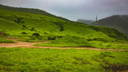 beautiful green landscape of salalah in oman during a khareef season