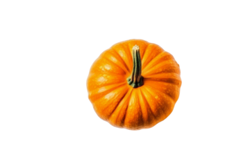 Overhead view of a single, ripe orange pumpkin on a transparent background. background removed