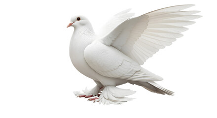 Obraz premium Photo of a majestic white dove with its wings spread wide, symbolizing peace and serenity, isolated on transparent background