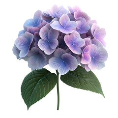 Close-up of a vibrant hydrangea flower head.