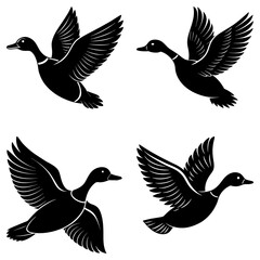 Obraz premium Four black silhouette ducks in flight with wings spread in a symmetrical arrangement on white background