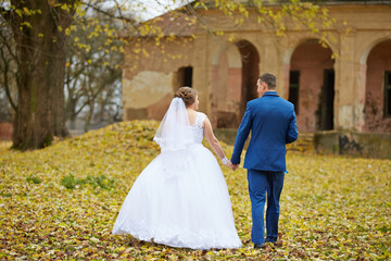 A bride and groom are walking together in a field of autumn leaves