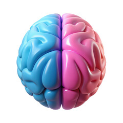 3d rendered illustration of a brain