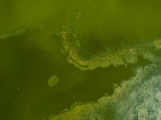 Nallihan Bird Sanctuary Beypazari Ankara Turkey, Aerial view of a polluted green algae-infested lake.High-angle, full shot of a body of water covered in a thick layer of green algae. TURKIYE 