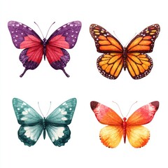 Obraz premium Four vibrant watercolor butterflies, each showcasing unique wing patterns and colors, against a stark white backdrop