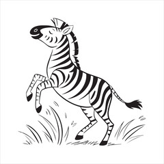 plain zebra vector illustration