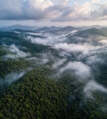 Obraz premium Aerial view of rolling green mountains shrouded in a low-lying cloud layer, bathed in soft, diffused light