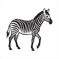plain zebra vector illustration