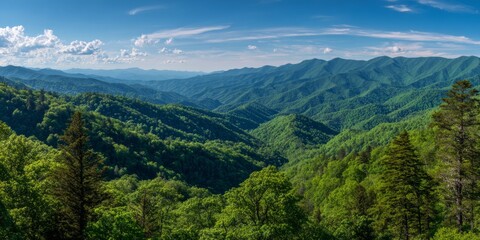 Fototapeta premium Lush Green Mountain Range Under Bright Blue Sky in Natural Scenic Landscape