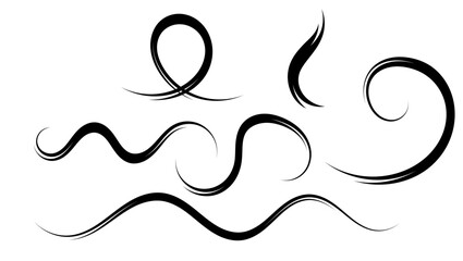 Curved lines , black isolated silhouette