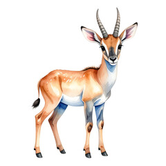 Fototapeta premium Graceful Gazelle Watercolor: A captivating watercolor painting of a gazelle, with its slender form and elegant horns.