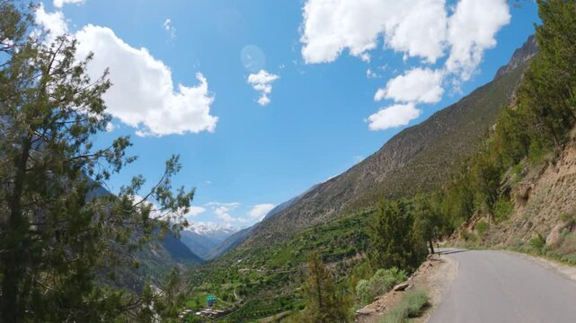 4K POV shot of a vehicle moving on an asphalt road in between the Juniper trees on a Himalayan mountain as seen on the way towards Udaipur in Pattan Valley, Lahaul, Himachal Pradesh, India.
