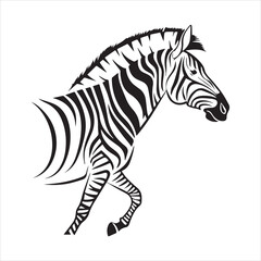 plain zebra vector illustration