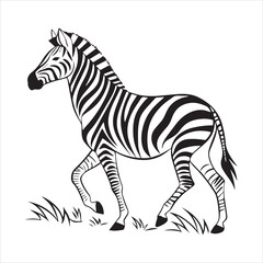 plain zebra vector illustration