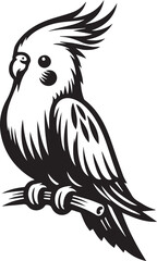 Cockatiel Parrot Vector