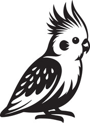Cockatiel Parrot Vector